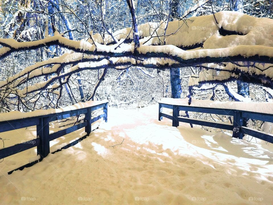 snowy path on bridge in forest