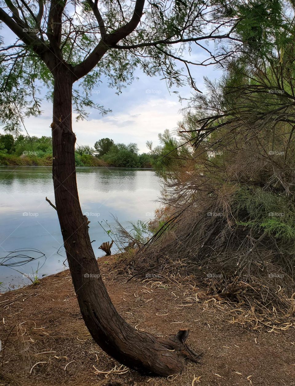 Lakeshore on a Stormy Day