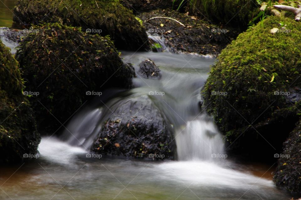 River Bovey