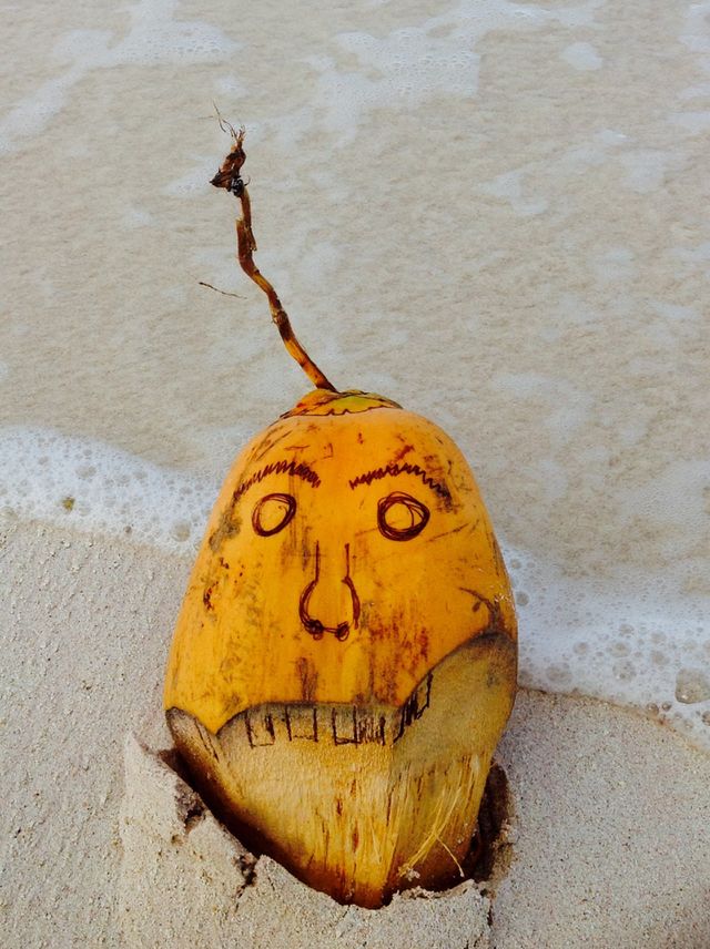 Wilson the Coconut