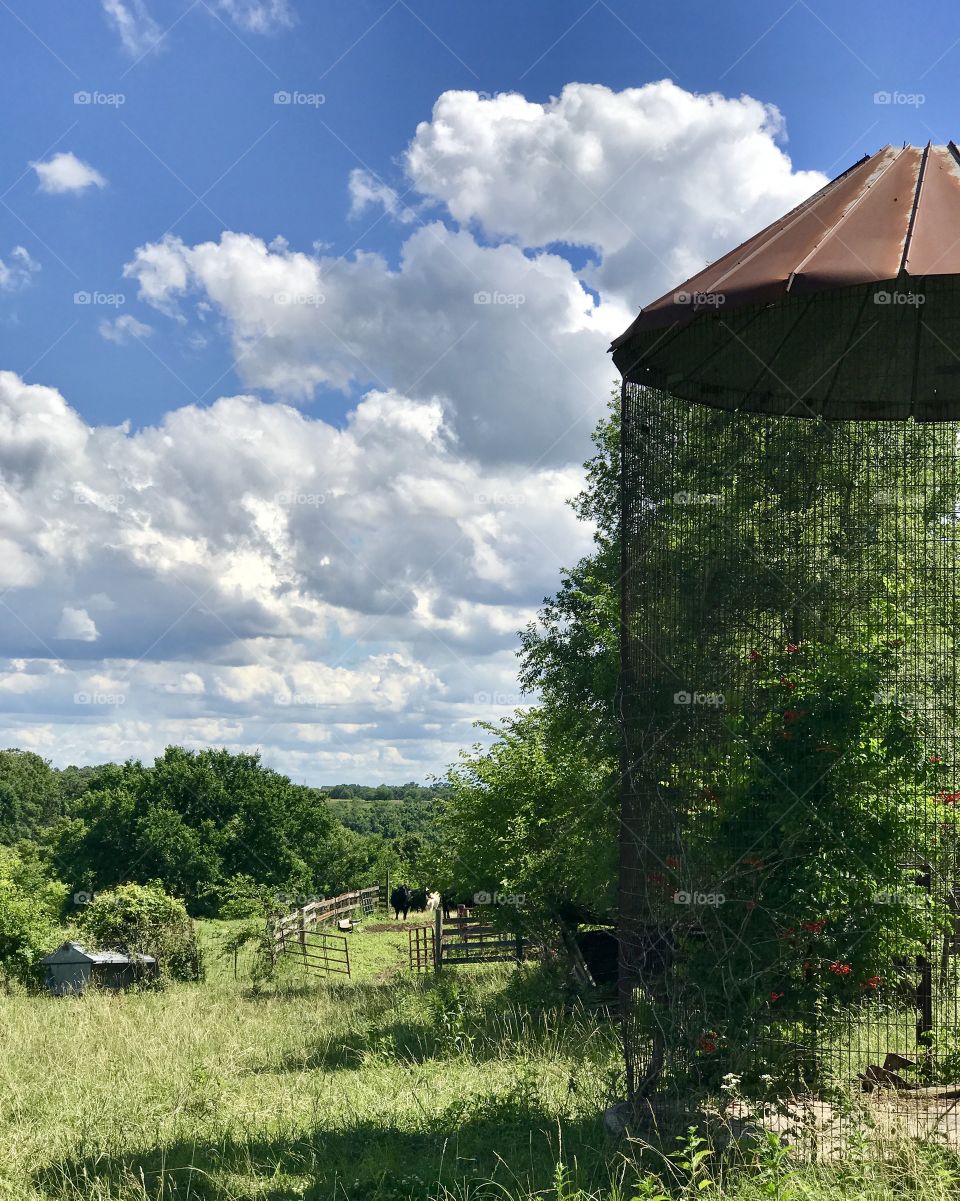 Iowa Farm 