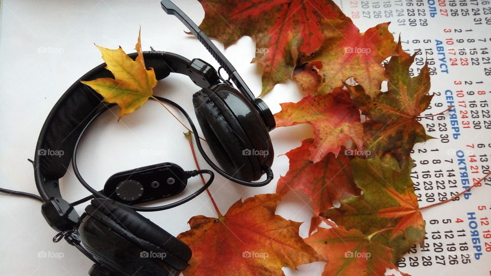 музыка.осень.листья.