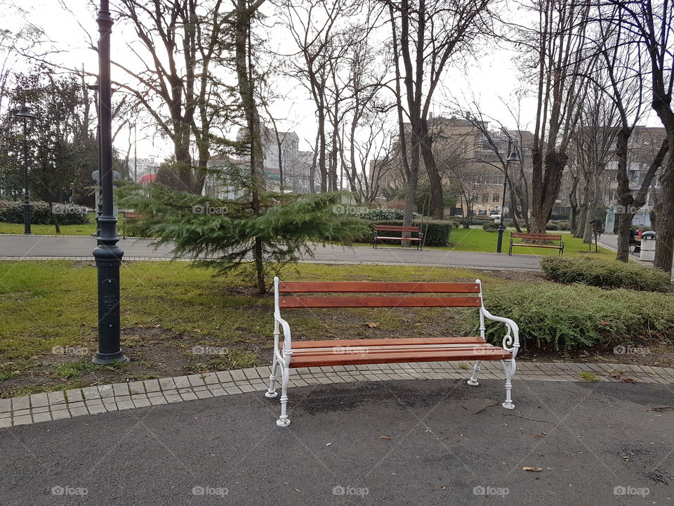 Bench in the sea garden