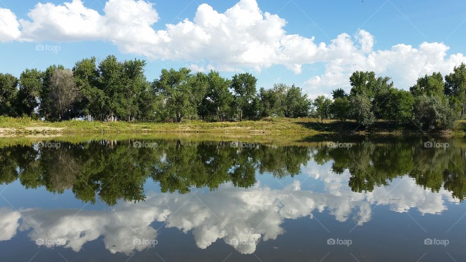 Pond Reflection