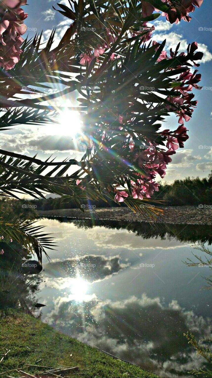 The passage of sunlight between tree branches