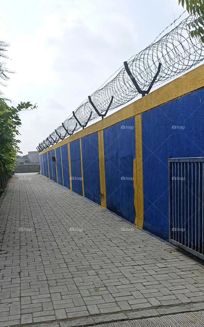 Wall