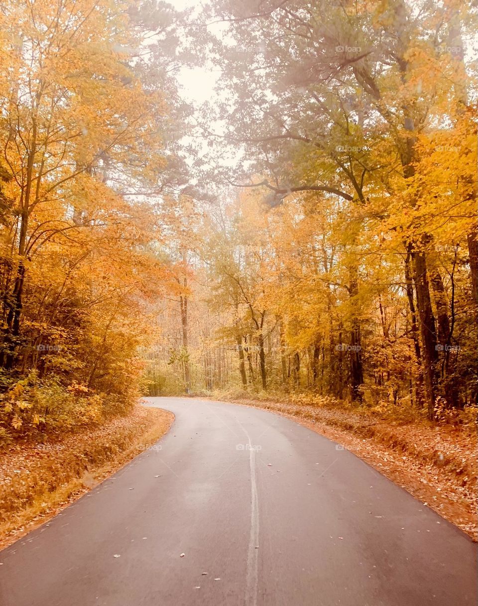 Fall road 