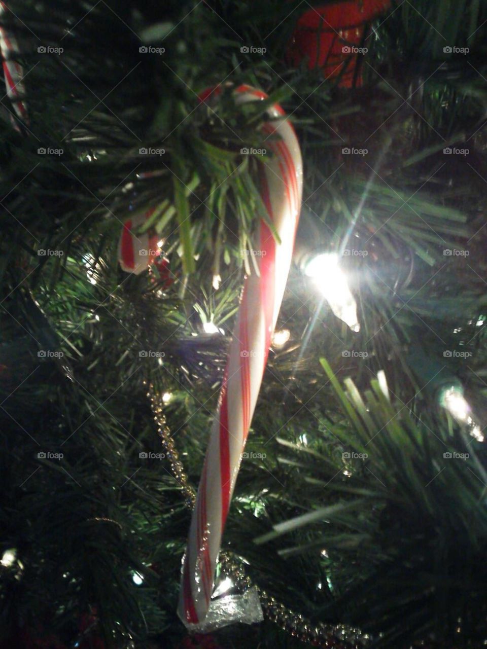 Candy cane