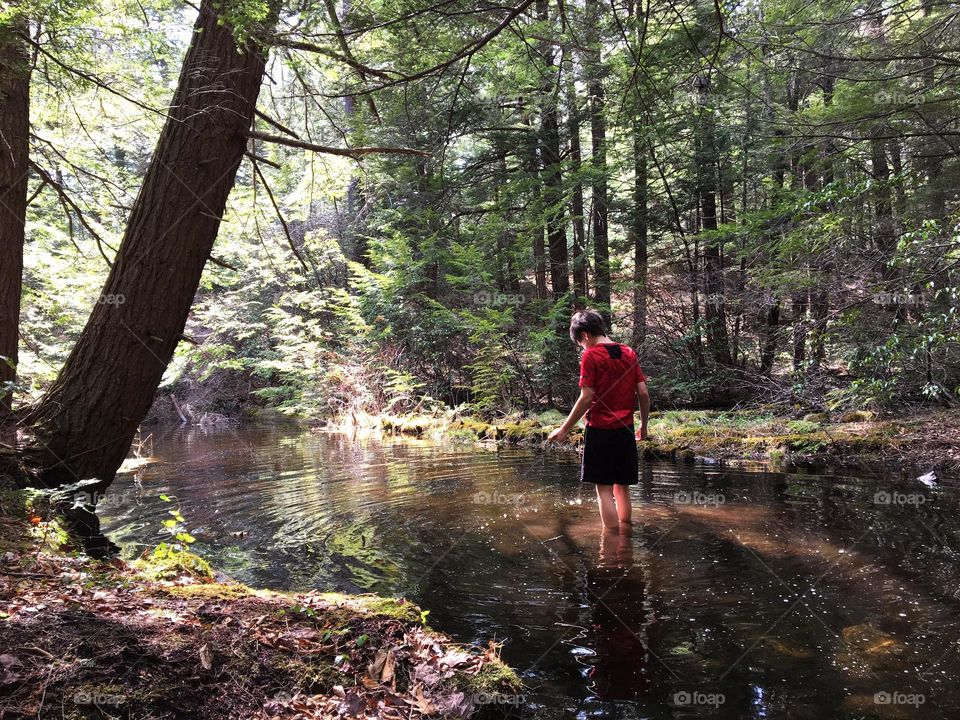 Finding magic in the woods 