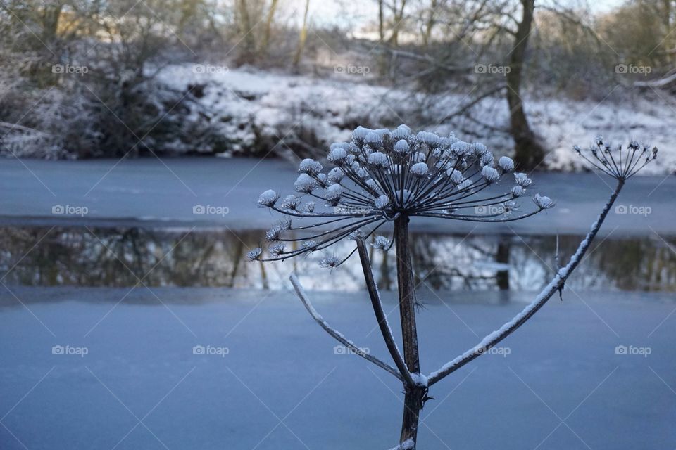 Winter Nature ... frozen river looks so magical 