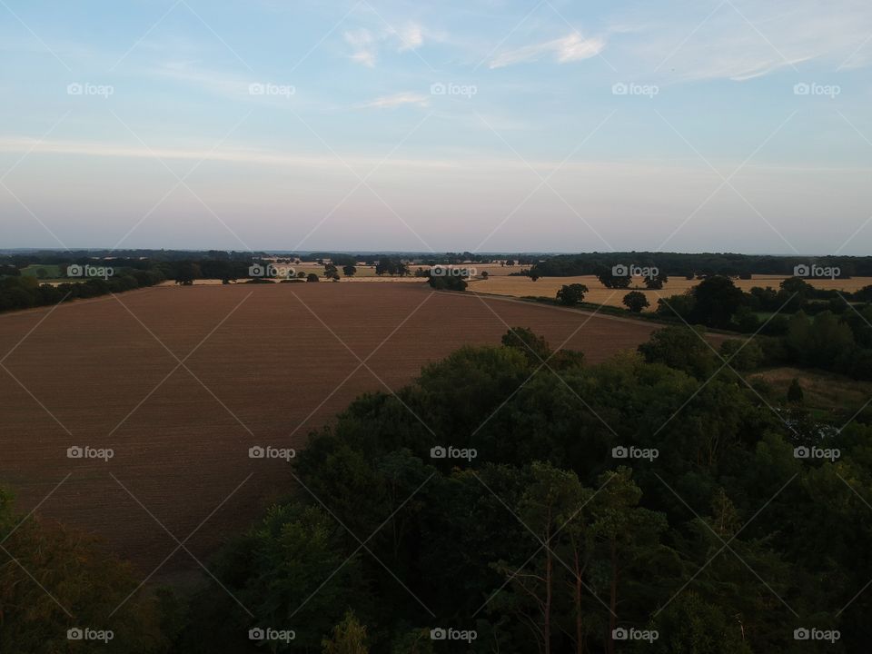 Harvest time