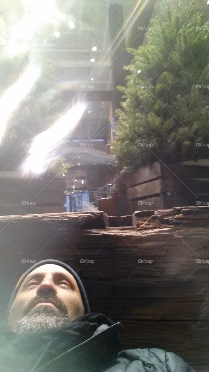 department store bliss