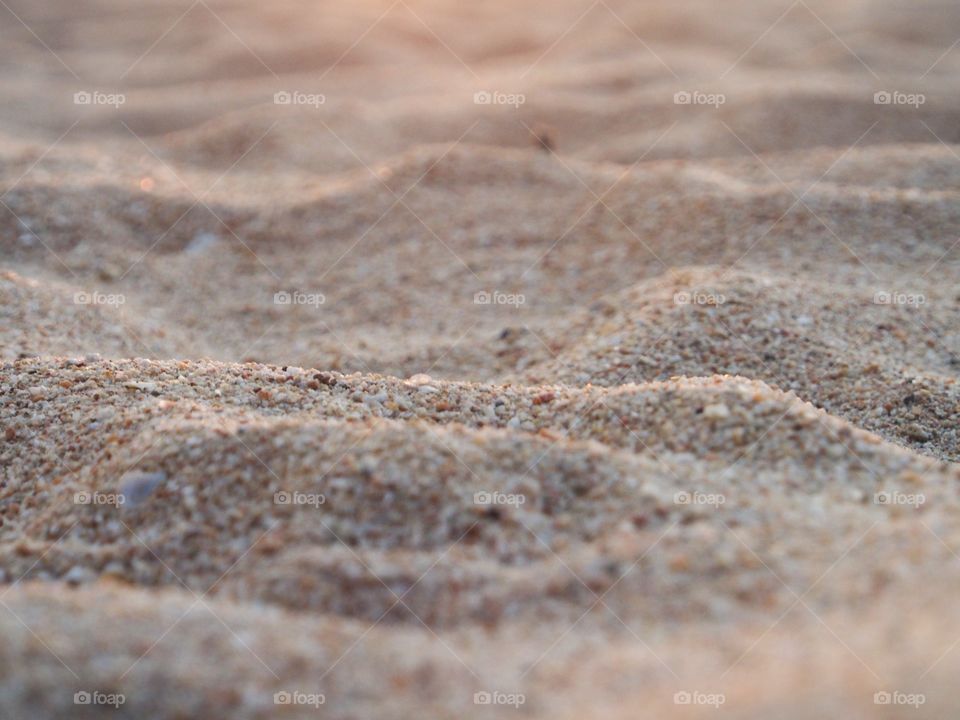 Close-up of a beach sand