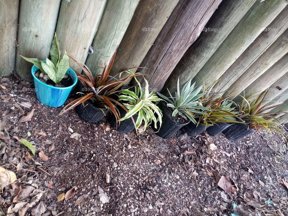 various potted plants on the ground in front of nautical pylons