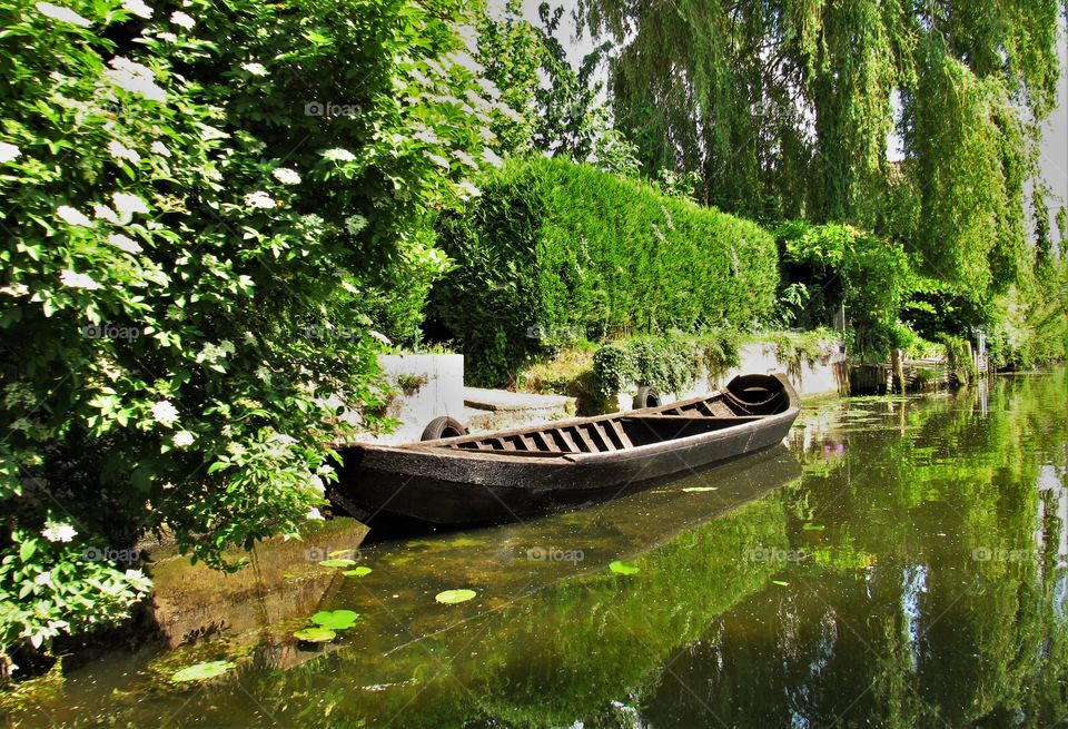 Marais de Saint Omer