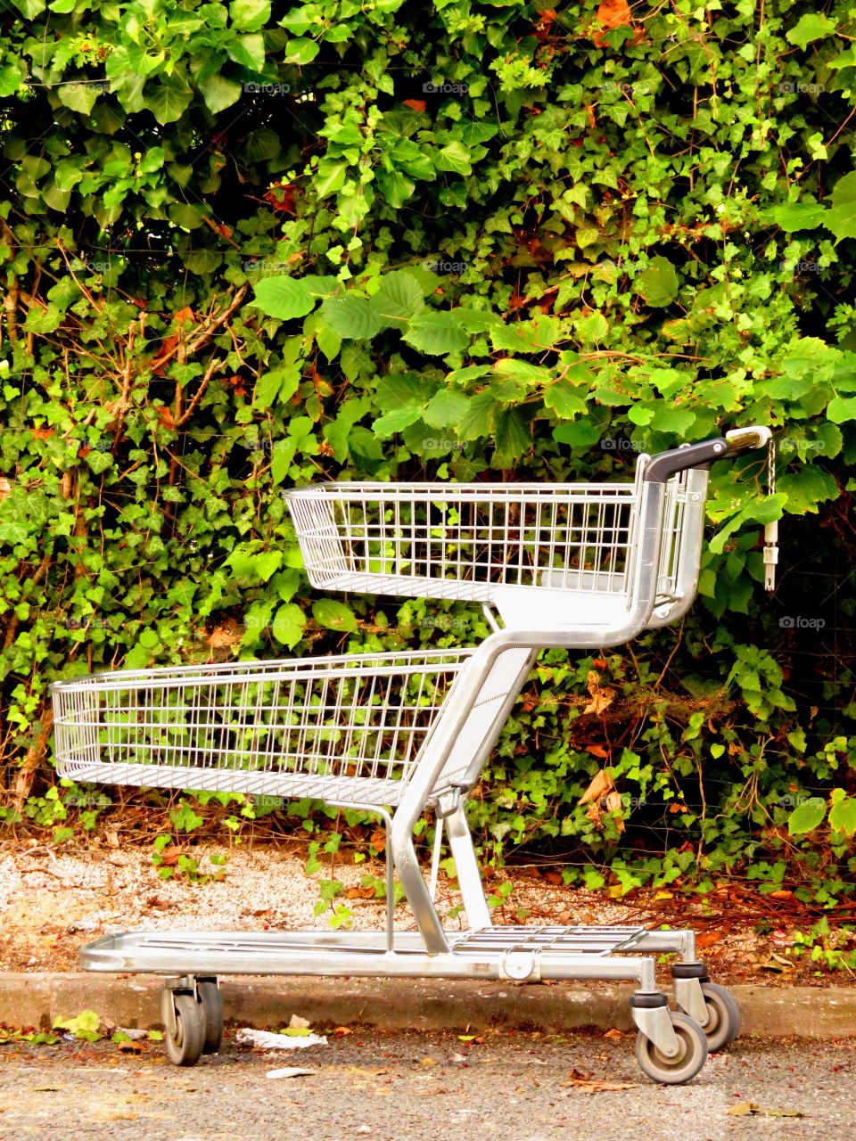 shopping cart
