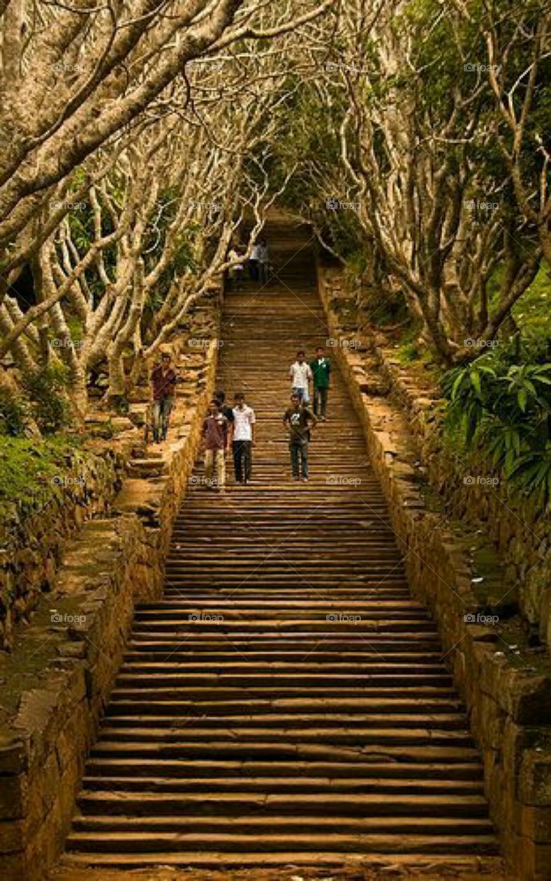 Steps To Mihinthale Temple In Sri Lanka