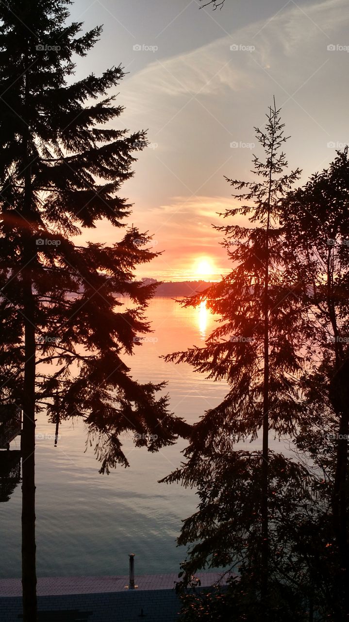 view of ocean and trees. Sequim WA