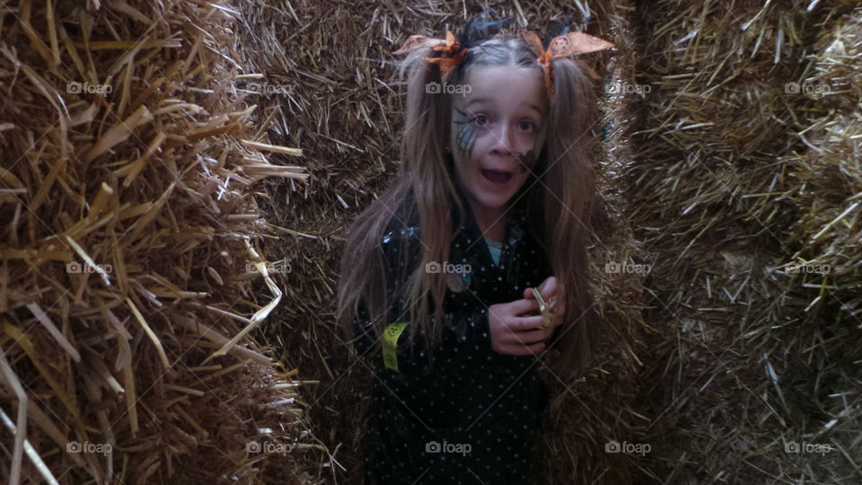 scared excited expression in the hay maze