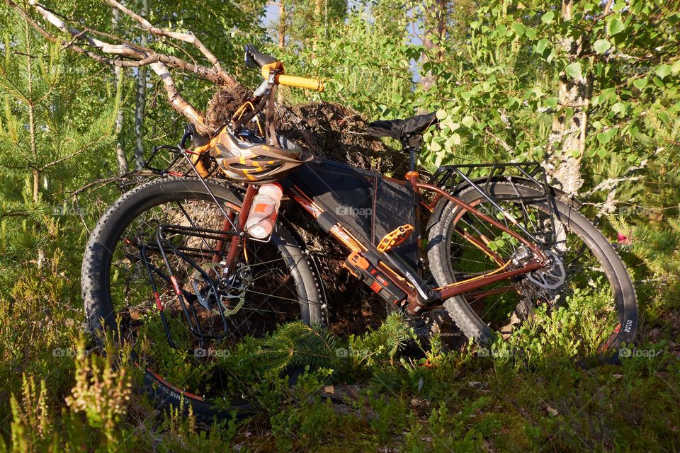 Taipalsaari, Finland - July 1, 2015: Adventure bike with mountain bike and touring bike capabilities in the lush forest in Eastern Finland. 