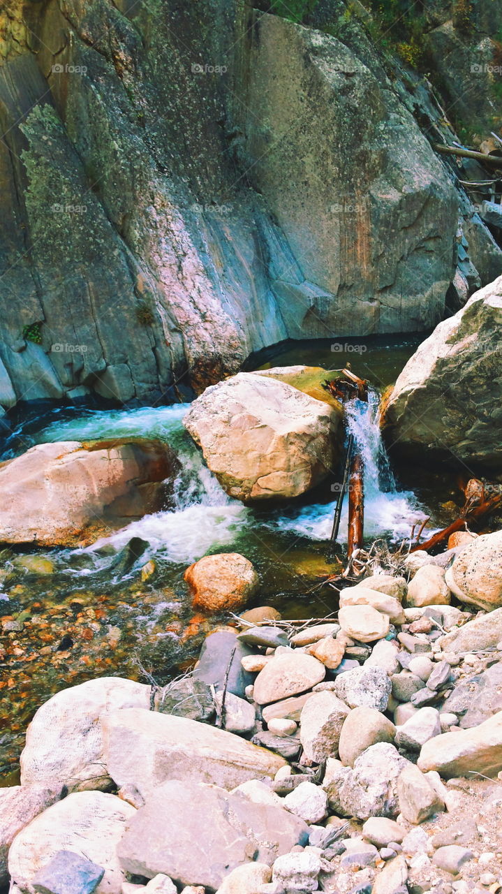 View of a stream