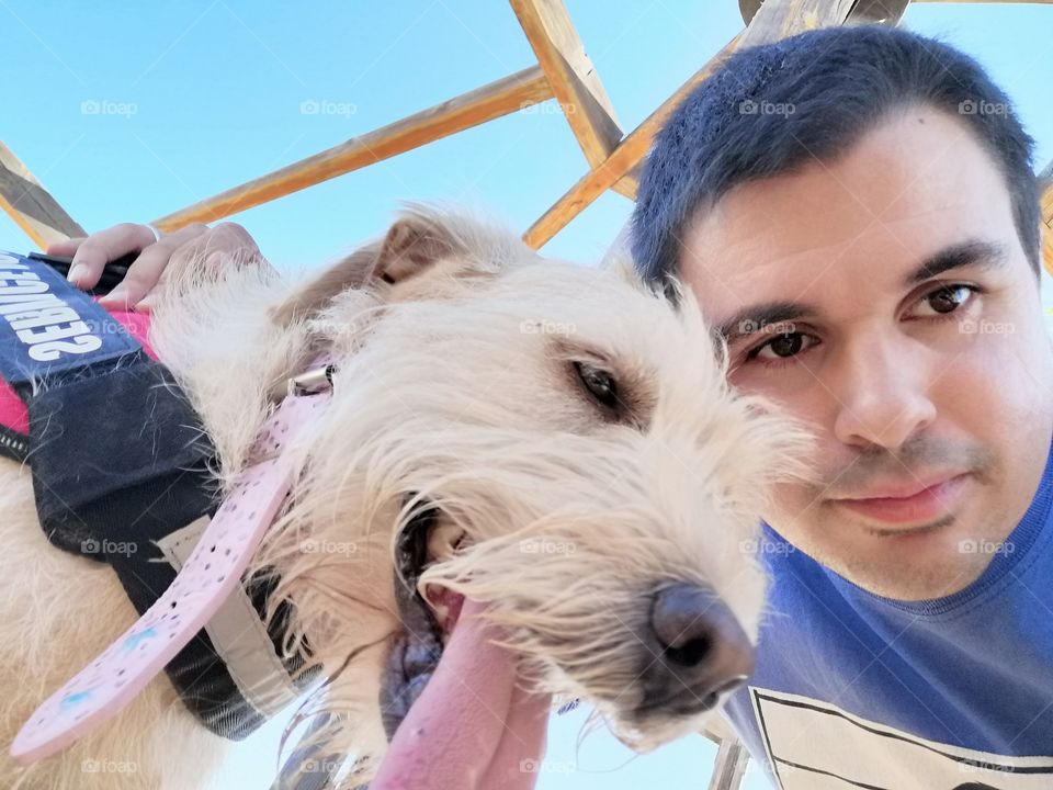 Dog selfie 1