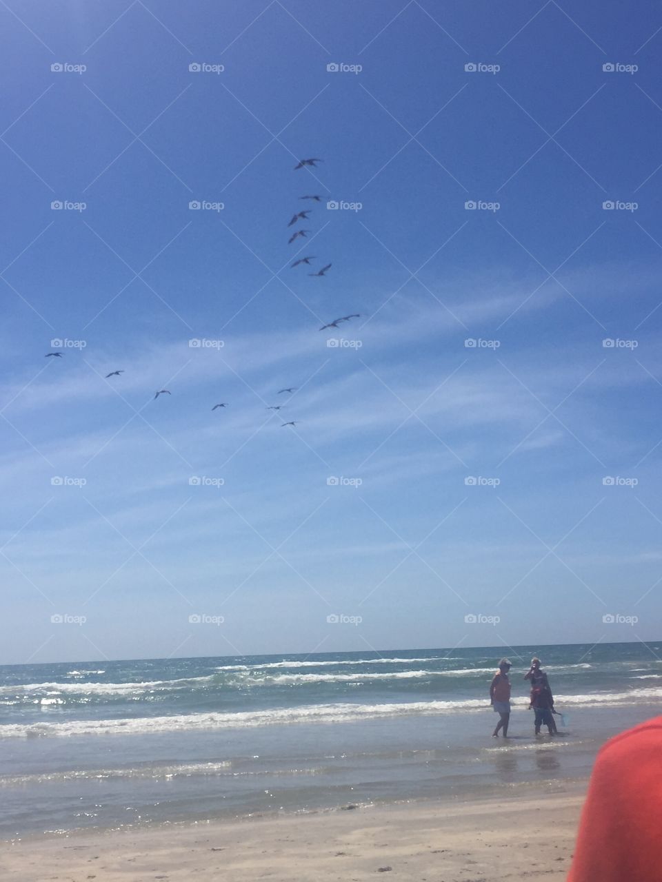 Beautiful beach with seagulls soaring above 