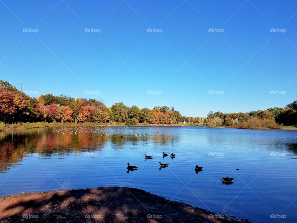 Autumn Lake