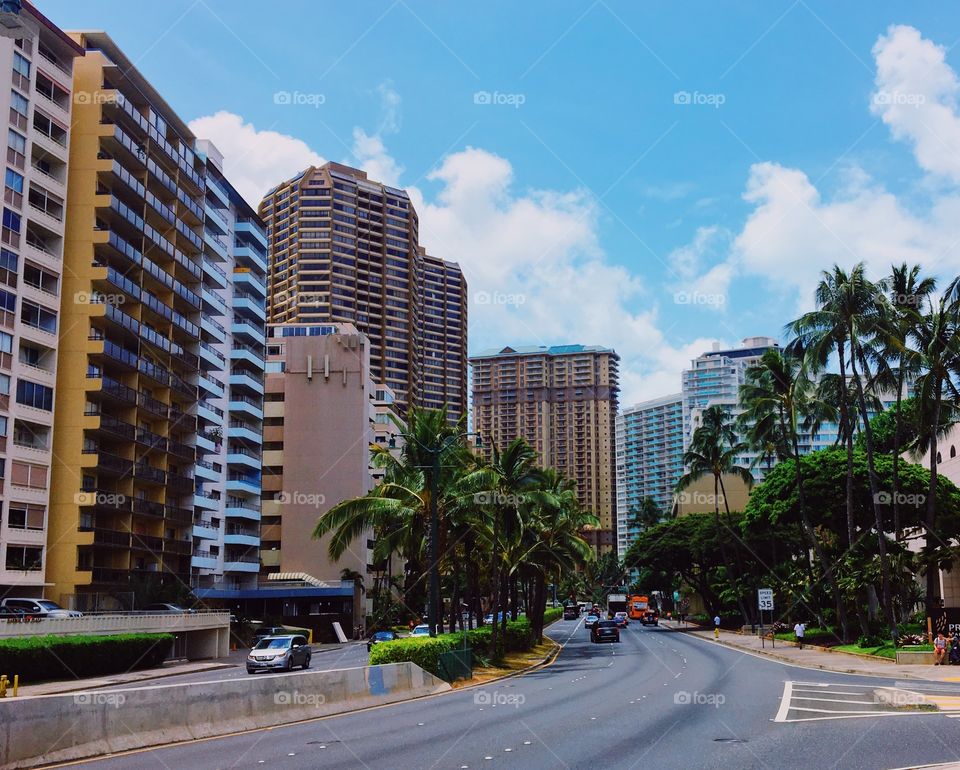 Urban scene of a major street flanked by tall apartment buildings and palm trees going through Honolulu on a July sunny day. 