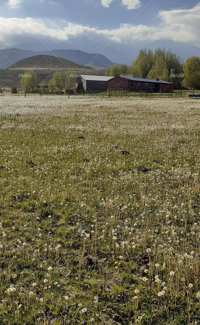 vacaciones en el campo