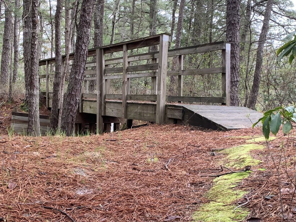 Hiking path bridge in NJ Pine Barrens