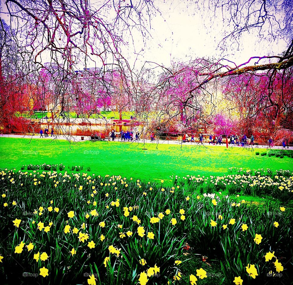 People enjoying colours of Spring 