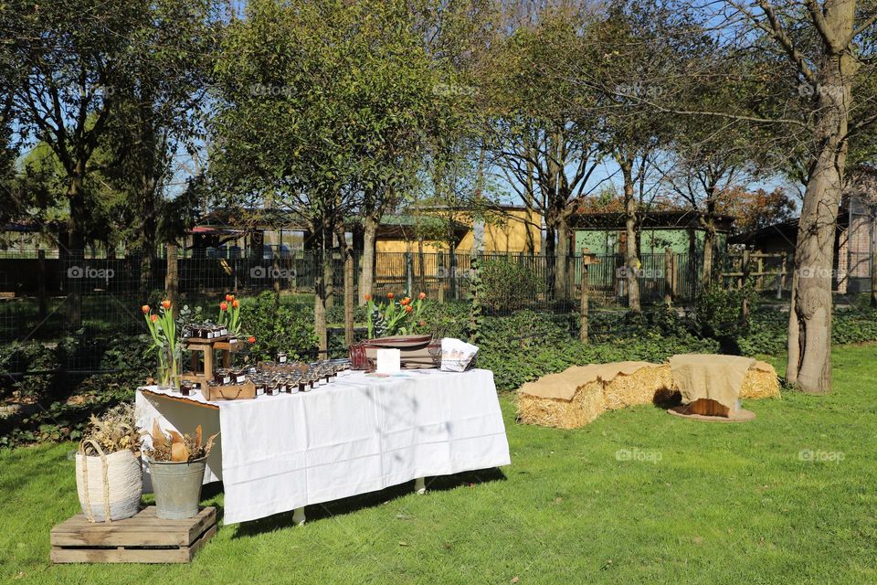 Ready to eat in the garden 