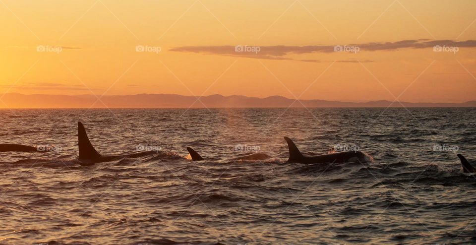 Orcas Island pictures