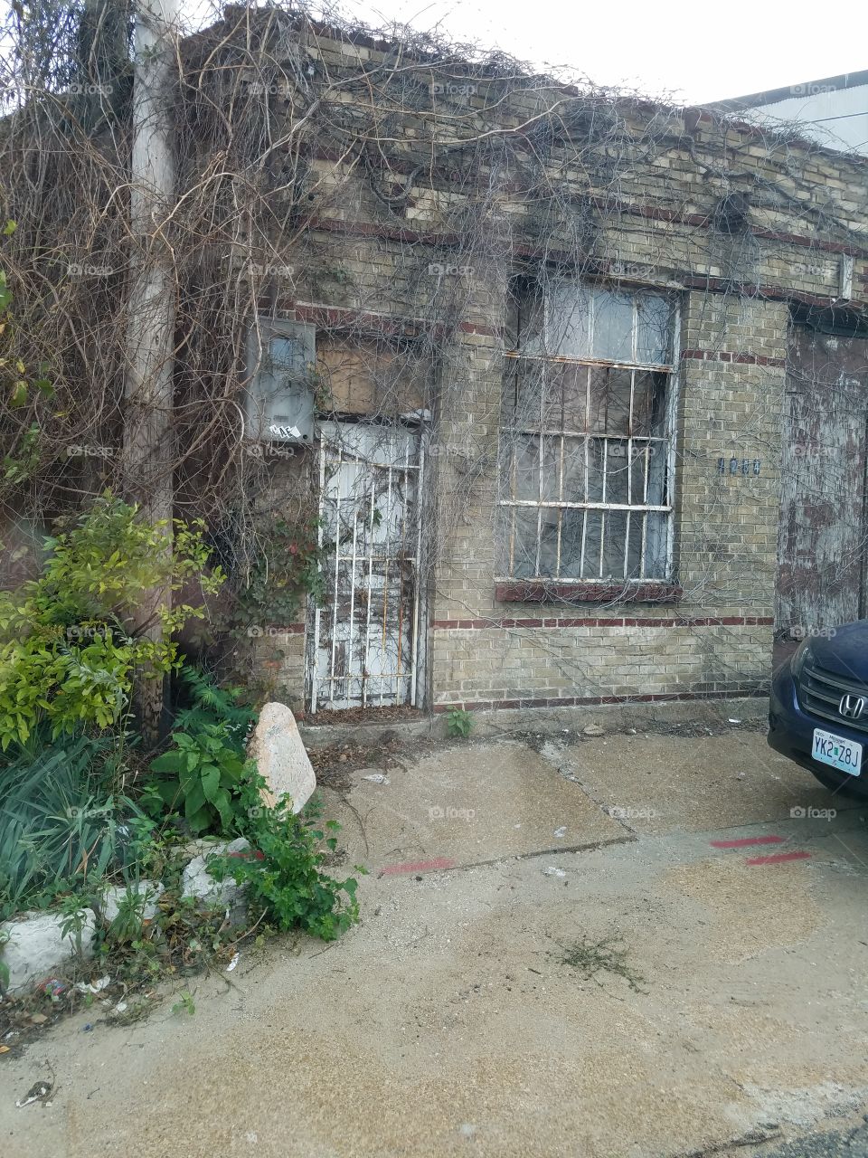 old overgrown building
