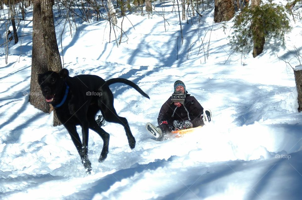 Sledding in maine