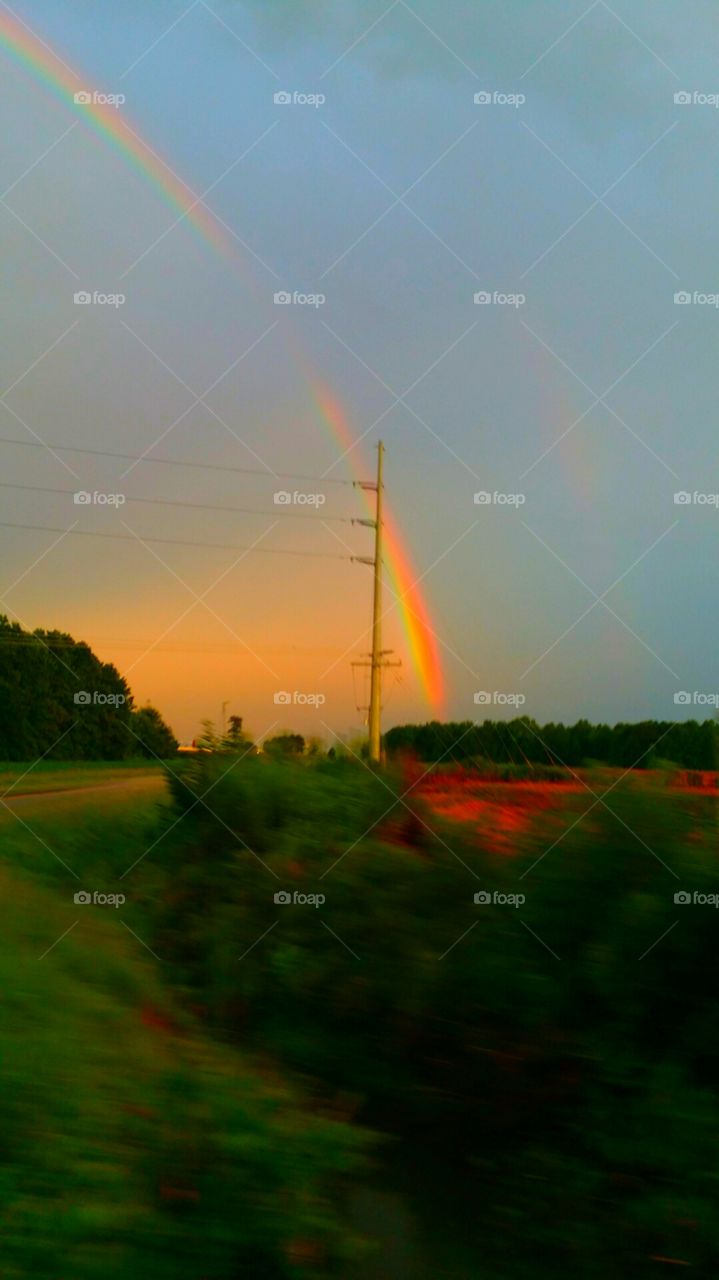 newland rainbow