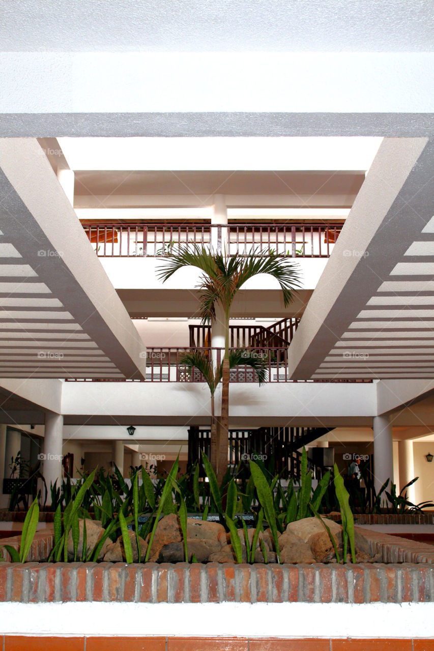palm hotel resort dominican republic by lagacephotos