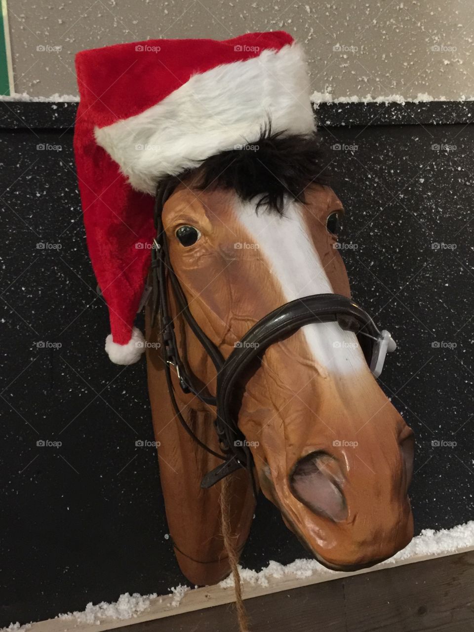 Horse with Santa’s hat