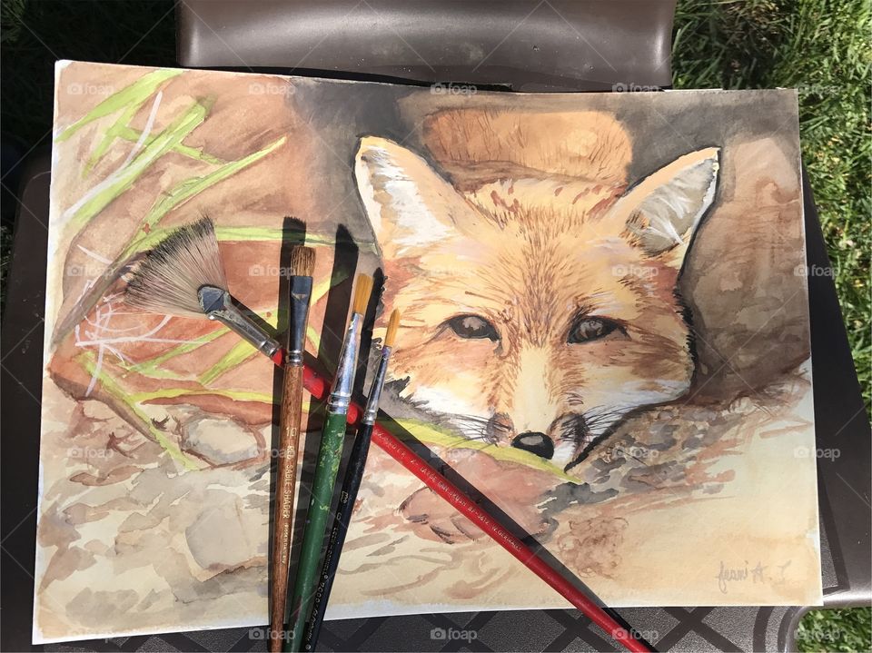 Fox water color painting