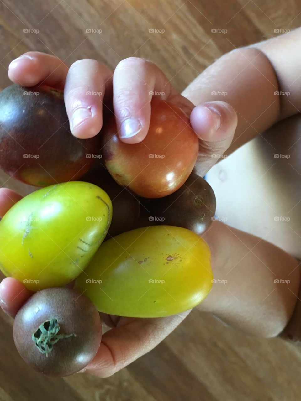 A handful of our colorful tomatoes. 