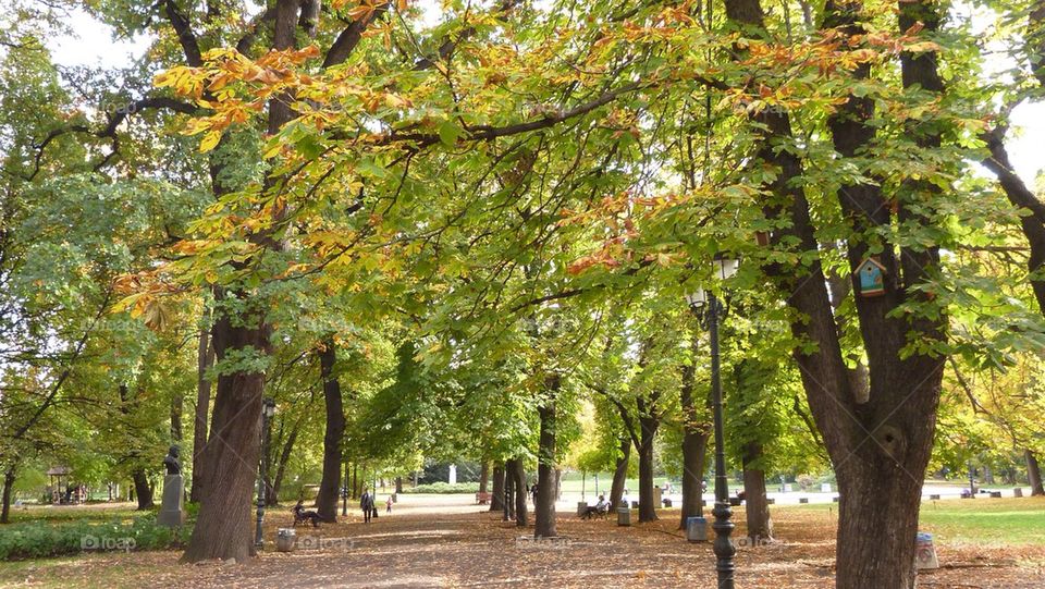 Autumn in the Borisov Gardens