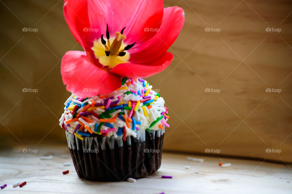 Cupcake for a party - conceptual fun chocolate cupcakes with sprinkles and white frosting  with beautiful flower on top festival carnival diversity food art dessert photography 