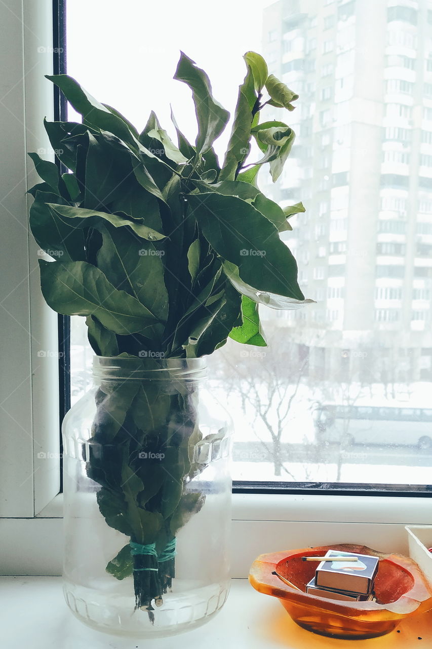 a bouquet of bay leaves in a jar and a box of matches in an ashtray on the windowsill