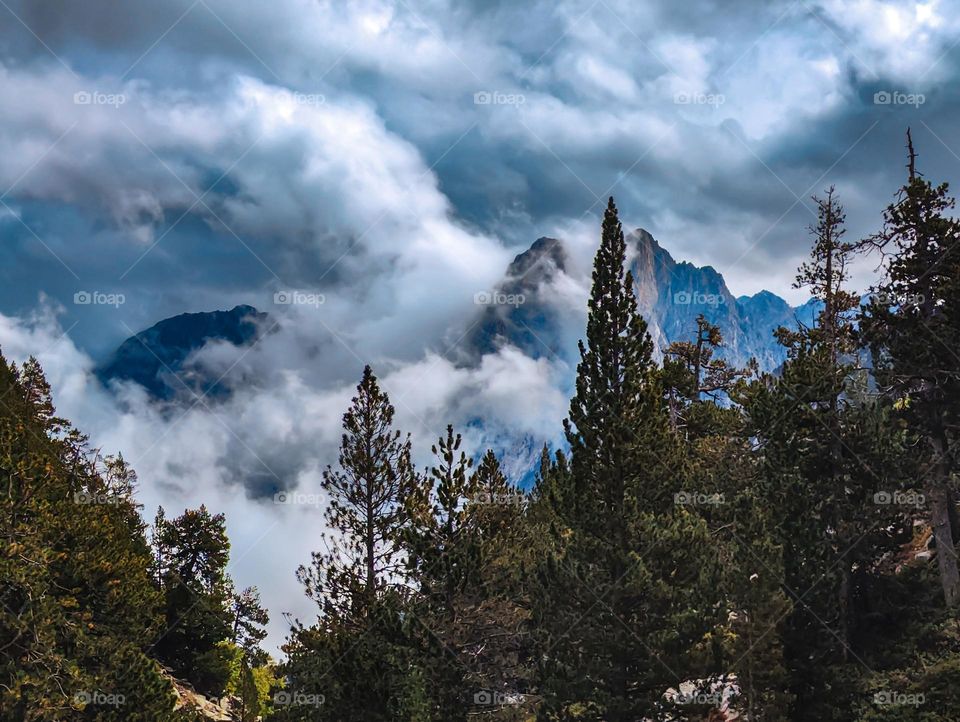 Mountains top hiding behind high trees and heavy clouds