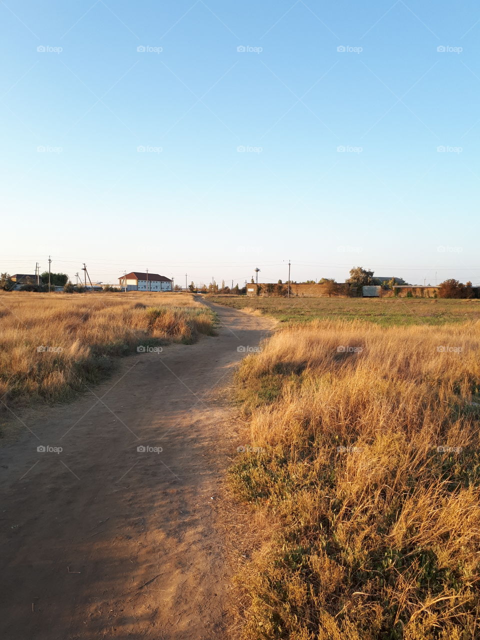 Village roar across the field