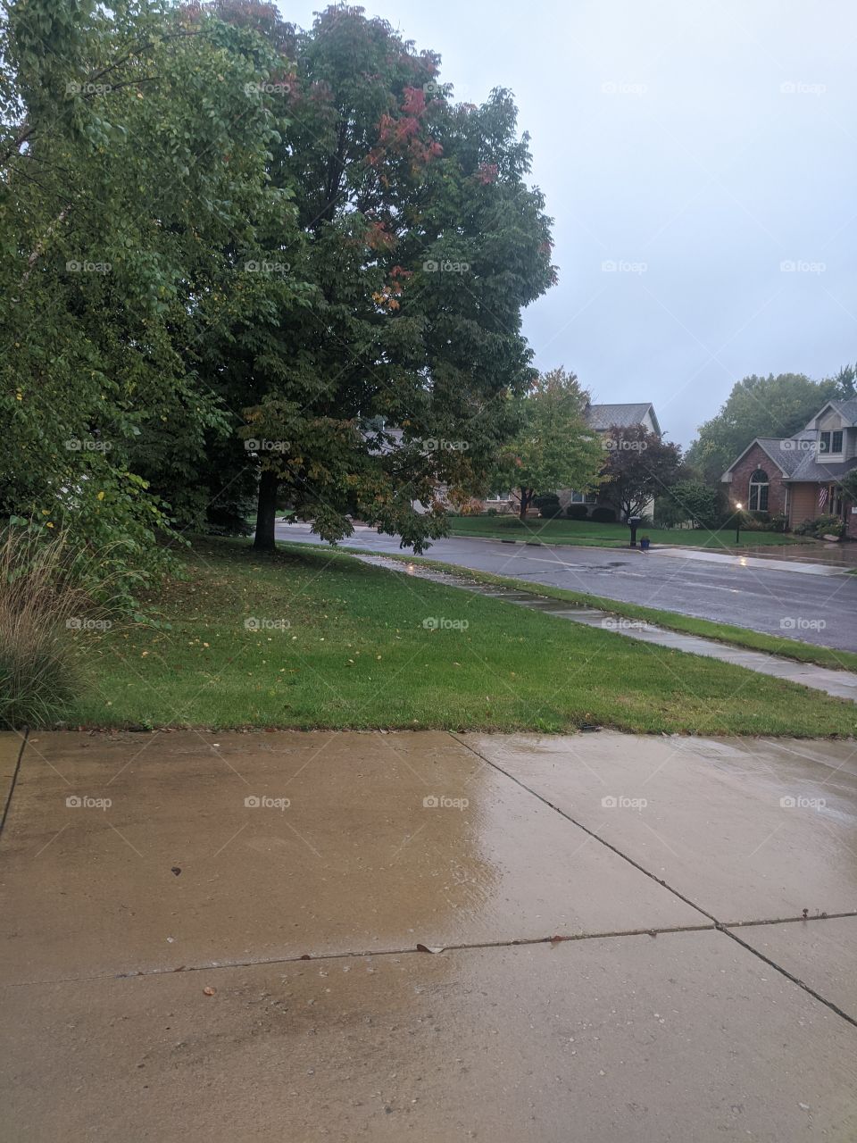 Rainy days is the most useful phenomena that helps our surroundings clean as well !