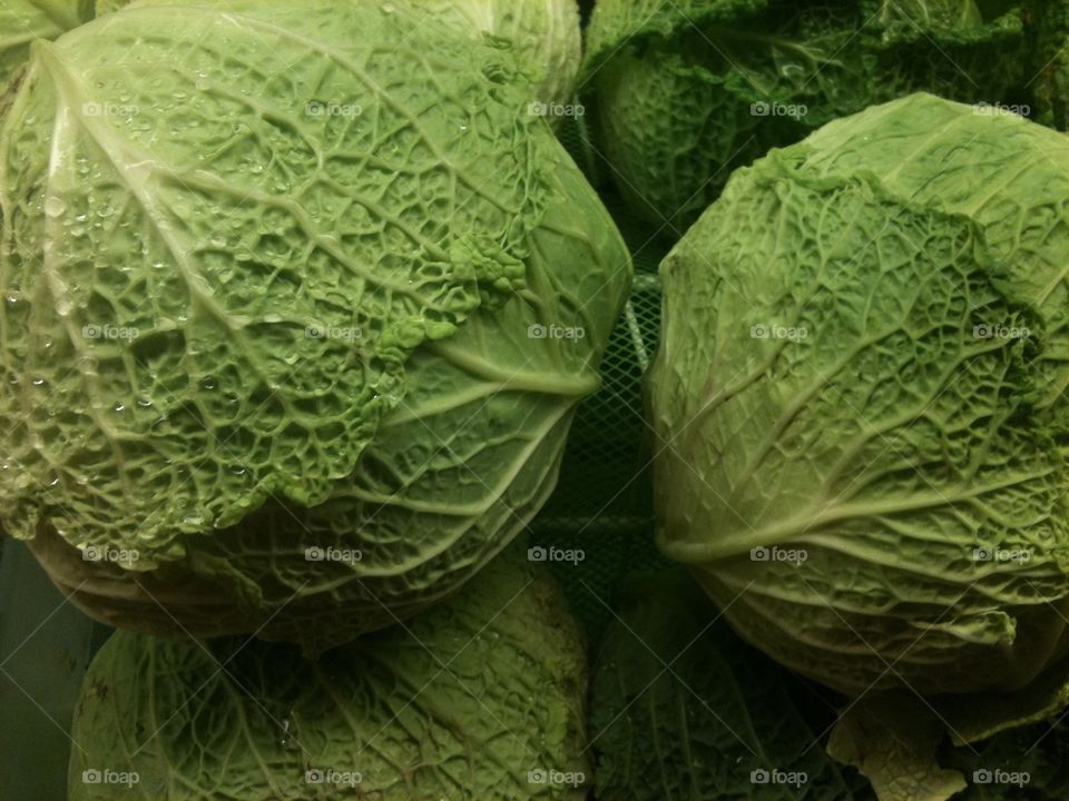 Cabbage . Cabbage for sale