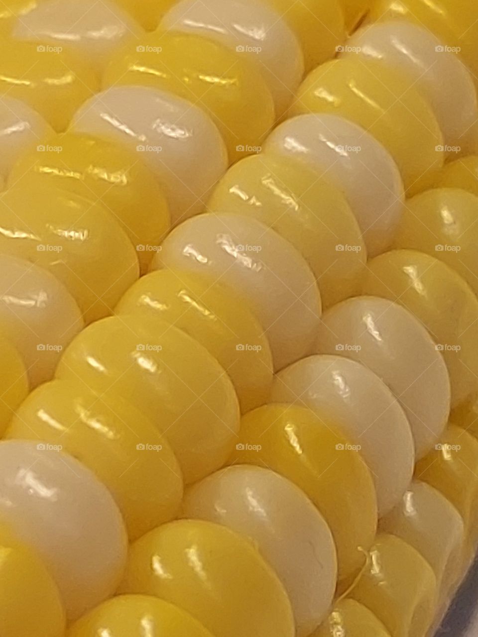 Corn on the cob, close up, yellow and white, corn kernels