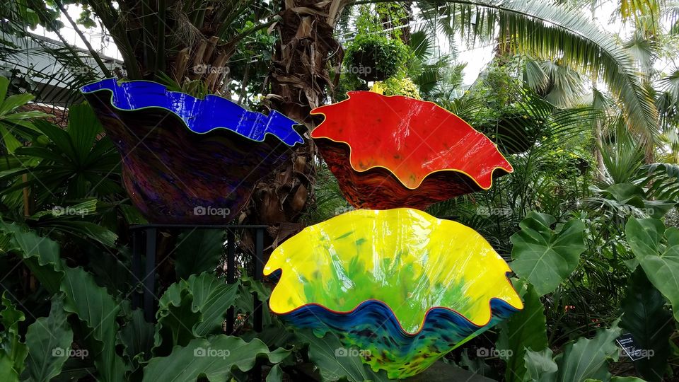 amazing colorful glass bowl sculptures in a garden